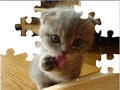 Cute Cat Puzzle гуляць онлайн