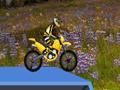 Hillblazer FMX гуляць онлайн