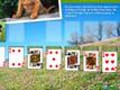 Animal Planet Solitaire гуляць онлайн